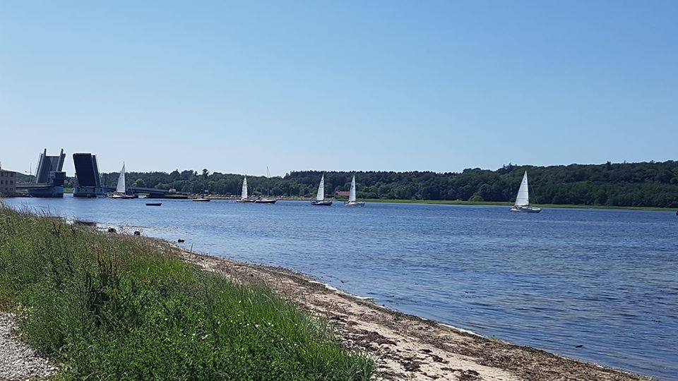 Sejlbåde på fjorden